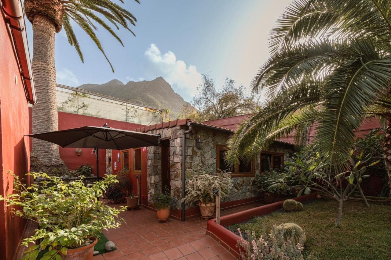 Papaya Cottage Punta Del Hidalgo Luaran gambar